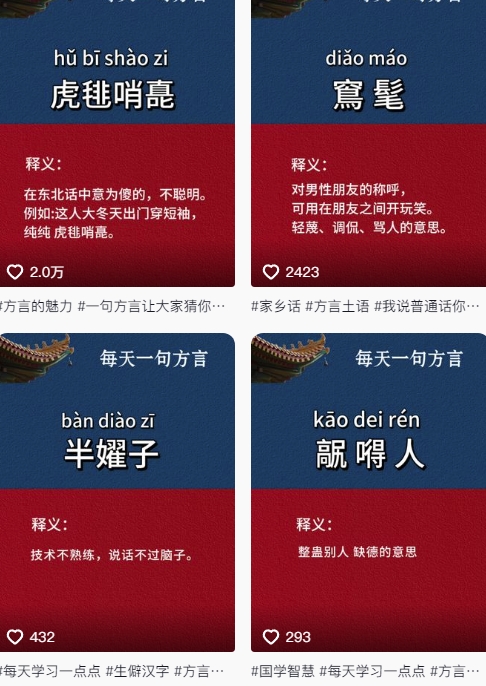 抖音最新涨粉玩法，图文方言暴力涨粉实操，126作品涨粉11W-16888副业资讯