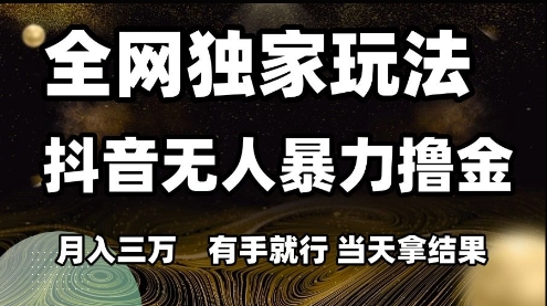 全网独家玩法抖音无人暴力撸金，月入3W，有手就行，当天拿结果【揭秘】-16888副业资讯