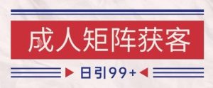 小红书某音橙人赛道引流获客,自热矩阵日引200+【揭秘】-16888副业资讯