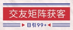 小红书某音交友赛道引流获客 自热矩阵日引200+【揭秘】-16888副业资讯