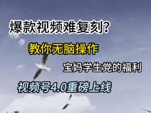 视频号4.0重磅上线,爆款视频难复刻?教你无脑操作宝妈学生党的福利【揭秘】-16888副业资讯