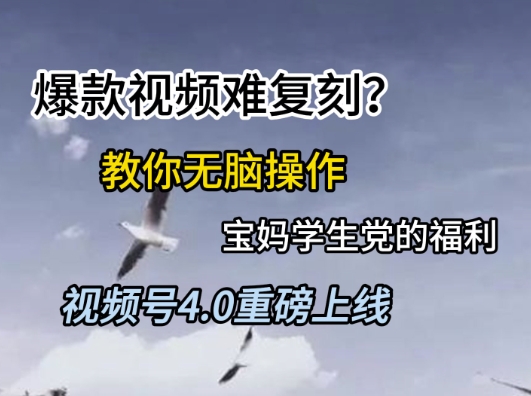 视频号4.0重磅上线，爆款视频难复刻？教你无脑操作宝妈学生党的福利【揭秘】-16888副业资讯