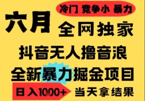 25年6月高爆抖音无人直播最新撸音浪掘金项目,小白可做,无脑日入1k+,门槛低可批量矩阵【揭秘】-16888副业资讯