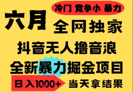 25年6月高爆抖音无人直播最新撸音浪掘金项目，小白可做，无脑日入1k+，门槛低可批量矩阵【揭秘】-16888副业资讯