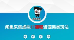 闲鱼采集虚拟IT课程资源另类玩法,干货满满-16888副业资讯