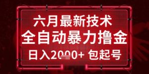 六月最新技术全自动暴力撸金,稳定日入2k+包起号,长期稳定【揭秘】-16888副业资讯