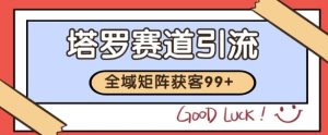 小红书某音塔罗赛道引流获客 自热矩阵日引200+【揭秘】-16888副业资讯