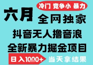 2025年6月高爆抖音无人直播最新撸音浪掘金项目,无脑日入1k+,低门槛小白可做,可矩阵放大【揭秘】-16888副业资讯