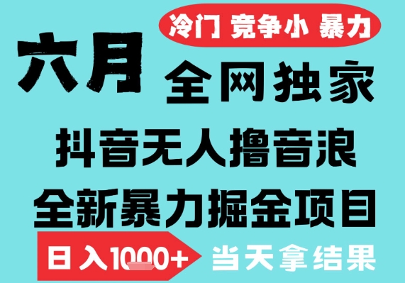 2025年6月高爆抖音无人直播最新撸音浪掘金项目，无脑日入1k+，低门槛小白可做，可矩阵放大【揭秘】-16888副业资讯