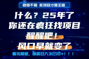 什么?25年你还在疯狂找项目做,醒醒吧,看完这些你全都懂了!【揭秘】-16888副业资讯