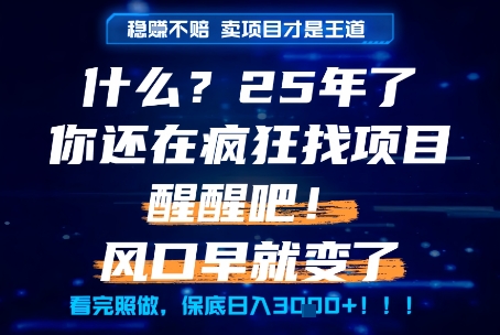 什么？25年你还在疯狂找项目做，醒醒吧，看完这些你全都懂了！【揭秘】-16888副业资讯