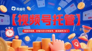 【视频号托管 】我提供视频,你每天花5分钟发布,最高躺挣2W+【揭秘】-16888副业资讯