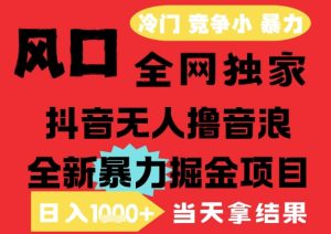 25年6月高爆抖音无人直播最新撸音浪掘金项目,解放双手小白可做,无脑日入1k+,门槛低【揭秘】-16888副业资讯