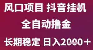 风口项目,六月最新玩法抖音无人挂G,全自动撸金,长期稳定 日入2k+【揭秘】-16888副业资讯