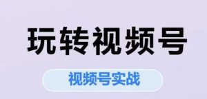 玩转视频号,视频号实战系列课-16888副业资讯