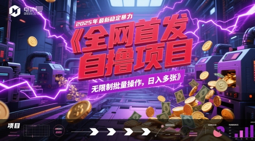 全网首发，2025年最新稳定暴力全自动自撸项目，无限制批量操作，日入多张【揭秘】-16888副业资讯