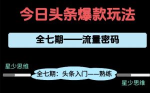 头条系列全七期项目拆解,全是干货,新手从0-1必经过程,99的人会踩的坑-16888副业资讯