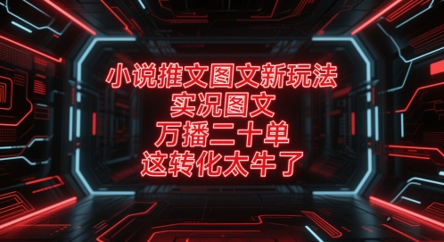 小说推文图文新玩法，实况图文，万播二十单，这转化太牛了！-16888副业资讯