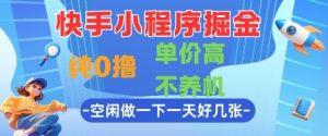 快手小程序掘金,纯0撸,单价高不养机 利用空闲时间做一做,一天好几张【揭秘】-16888副业资讯