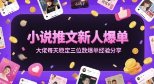 小说推文新人爆单大佬每天稳定三位数爆单经验分享-16888副业资讯