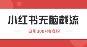 小红书截流同行客源,独家野路子获客玩法 日引200+暴力获客【揭秘】-16888副业资讯
