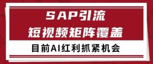 小红书某音sap赛道引流获客 自热矩阵日引200+【揭秘】-16888副业资讯