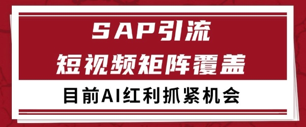 小红书某音sap赛道引流获客 自热矩阵日引200+【揭秘】-16888副业资讯