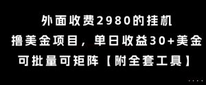 外面收费2980的挂G撸美金项目，单日收益30+美金，可批量可矩阵【揭秘】-16888副业资讯