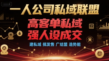 一人公司私域联盟，高客单私域，强人设成交，建私域 搞发售 广结盟 造势能-16888副业资讯