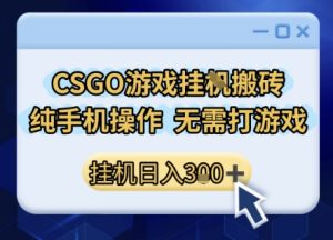 CSGO游戏挂G搬砖，小白纯手机即可操作，不用电脑打游戏，日入3张+，副业网创项目【揭秘】-16888副业资讯