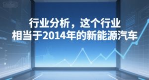 付费文章：行业分析，这个行业，相当于2014年的新能源汽车-16888副业资讯
