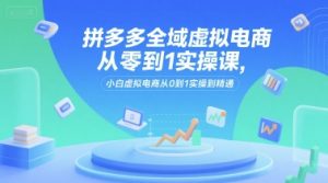 拼多多全域虚拟电商从零到1实操课，小白虚拟电商从0到1实操到精通-16888副业资讯