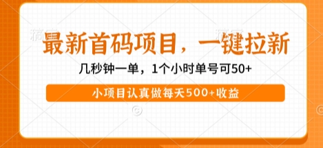 最新首码项目，操作最简单，收益高，一键拉新，1个小时单号可50+，小项目认真做每天5张+收益【揭秘】-16888副业资讯