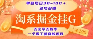淘系掘金挂G项目,单账号日收益30~100+,多号多得,一个做了就有的项目【揭秘】-16888副业资讯