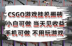 CSGO游戏挂G搬砖，小白纯手机即可操作，不用电脑打游戏，日入3张+，副业网创项目【揭秘】-16888副业资讯