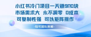 小红书冷门项目一天收益9张，市场需求大，0成本，可复制性强可以矩阵操作-16888副业资讯