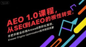 AEO 1.0 课程,从SEO到AE0的基命性转变,手把手教会你用AnswerEngineOptimization技术抢回流量-16888副业资讯
