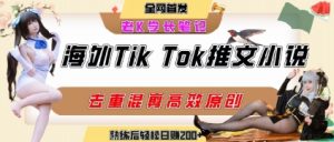 海外tiktok小说推文暴力项目，高停留率，高转化率，上手后一天搞顿饭钱不是问题-16888副业资讯