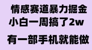 情感暴力掘金项目，新人操作一周挣了2W，长期稳定小白可做【揭秘】-16888副业资讯