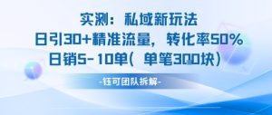 实测私域新玩法日引30加精准流量转化率50%日销5-10单每笔3张-16888副业资讯