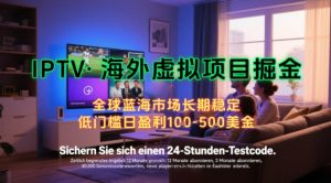 【海外虚拟项目掘金】日入100-200美刀,自己在家就可以闷声发大财,长期可做,工作室可复制扩大【揭秘】-16888副业资讯