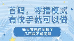 首码零撸项目，有快手就可以做，每天业务时间搞个几张不是问题【揭秘】-16888副业资讯