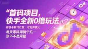 首码项目，快手全新0撸玩法，有快手就可以做，可矩阵放大，每天零碎时间搞个几张不是问题【揭秘】-16888副业资讯