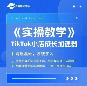 大卖家孵化中心TikTok实操课，TikTok小店成长加速器，跨境基础系统学习，一步一步带你开店-16888副业资讯