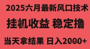 2025六月最新风口技术,无人挂G撸礼物,长期稳定 一个小时收益2k+,小白当天拿结果【揭秘】-16888副业资讯