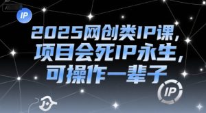 2025网创类IP课,项目会死IP永生,可操作一辈子-16888副业资讯