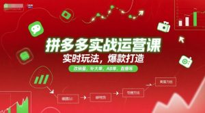 拼多多实战运营课，实时玩法，爆款打造，改销量，补大单，AB单，直播等（更新2025月）-16888副业资讯