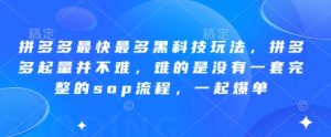 拼多多最快最多黑科技玩法,拼多多起量并不难,难的是没有一套完整的sop流程,一起爆单(更新6月)-16888副业资讯