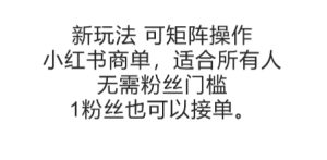 可矩阵操作，小红书商单新玩法，适合所有人，无需粉丝门槛，1粉丝也可以接单-16888副业资讯