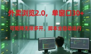 外卖浏览2.0，单窗口30+可矩阵无限多开，脚本全自动运行【揭秘】-16888副业资讯
